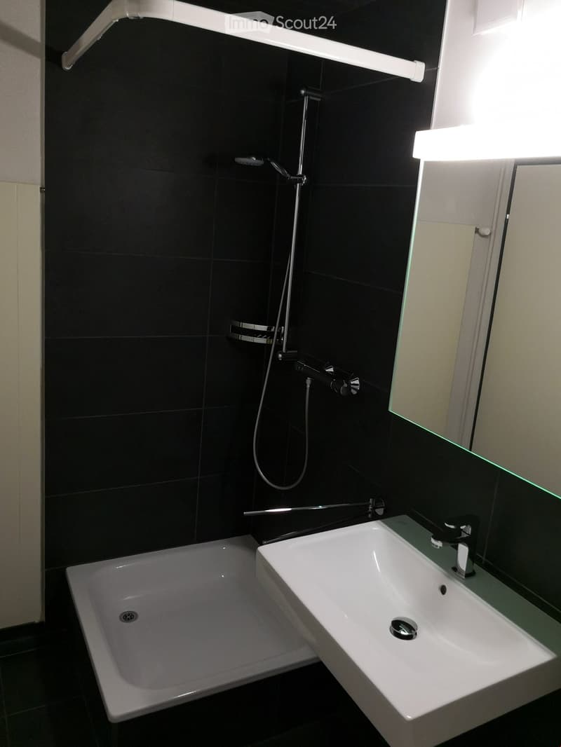 Modern bathroom with a white bathtub, a white sink, a mirror, and a showerhead with a handheld hose.