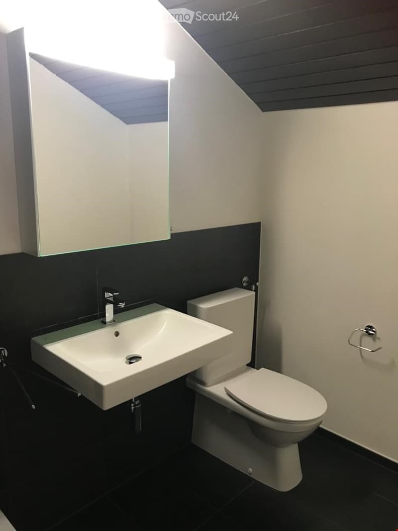 Modern bathroom with a white sink, toilet, and large mirror above the sink. Dark tiles on the floor and walls, sleek design.