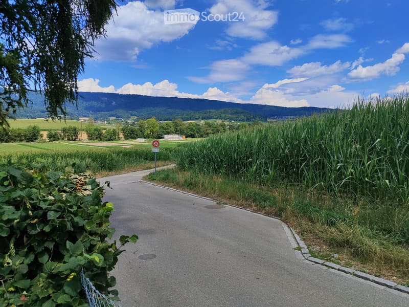 A rural road surrounded by tall grass, trees, and distant hills under a partly cloudy sky.