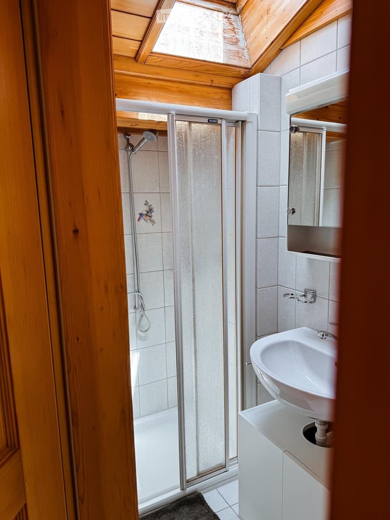 Modern bathroom with a white sink, mirror, and a glass-enclosed shower with a handheld showerhead. The walls are tiled, and the ceiling has wooden beams.