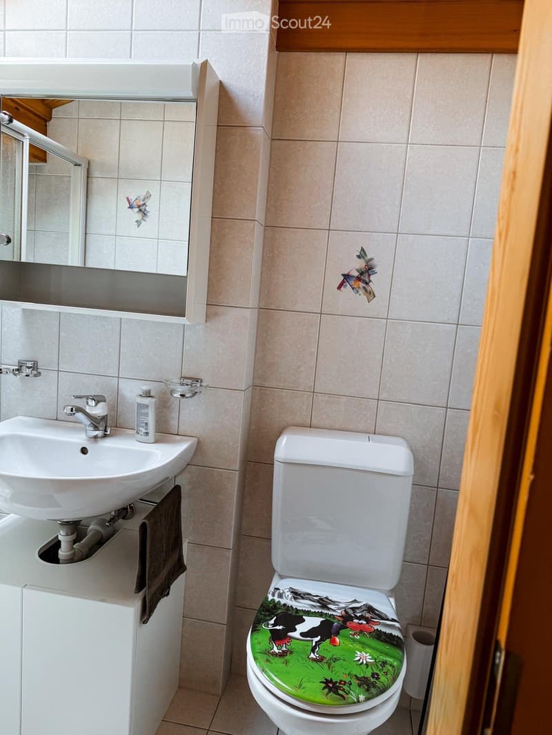 Bathroom with a white sink, chrome faucet, toilet with a decorative seat cover, mirror cabinet, and a towel hanging on the side.