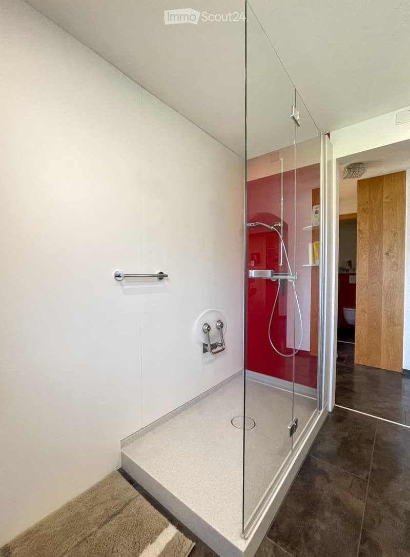 Modern bathroom with a glass-enclosed shower stall, white tiled walls, and a red accent wall inside the shower. Features a handrail and a shower handle.