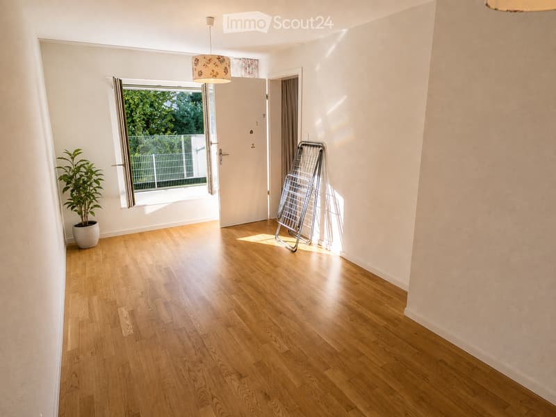 Empty hallway with wooden flooring, white walls, a large window with a view to a balcony, and a potted plant near the window.