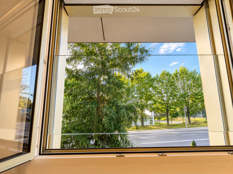 An unfurnished room with large windows offering a view of a green, tree-lined street and a clear blue sky. The room has light-colored walls and a simple, modern design.