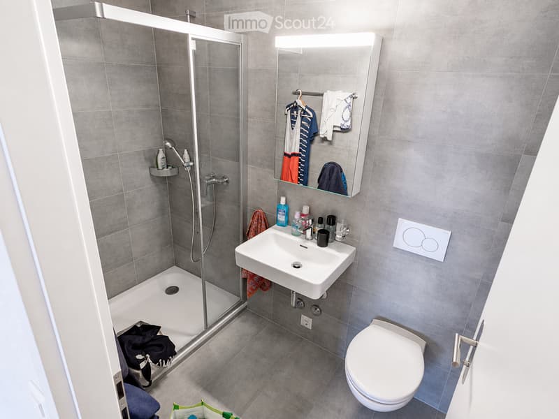 Modern bathroom with grey tiled walls and floor, featuring a white sink, toilet, and glass-enclosed shower. A mirror with built-in lighting is mounted above the sink, and various toiletries are placed on the sink counter.