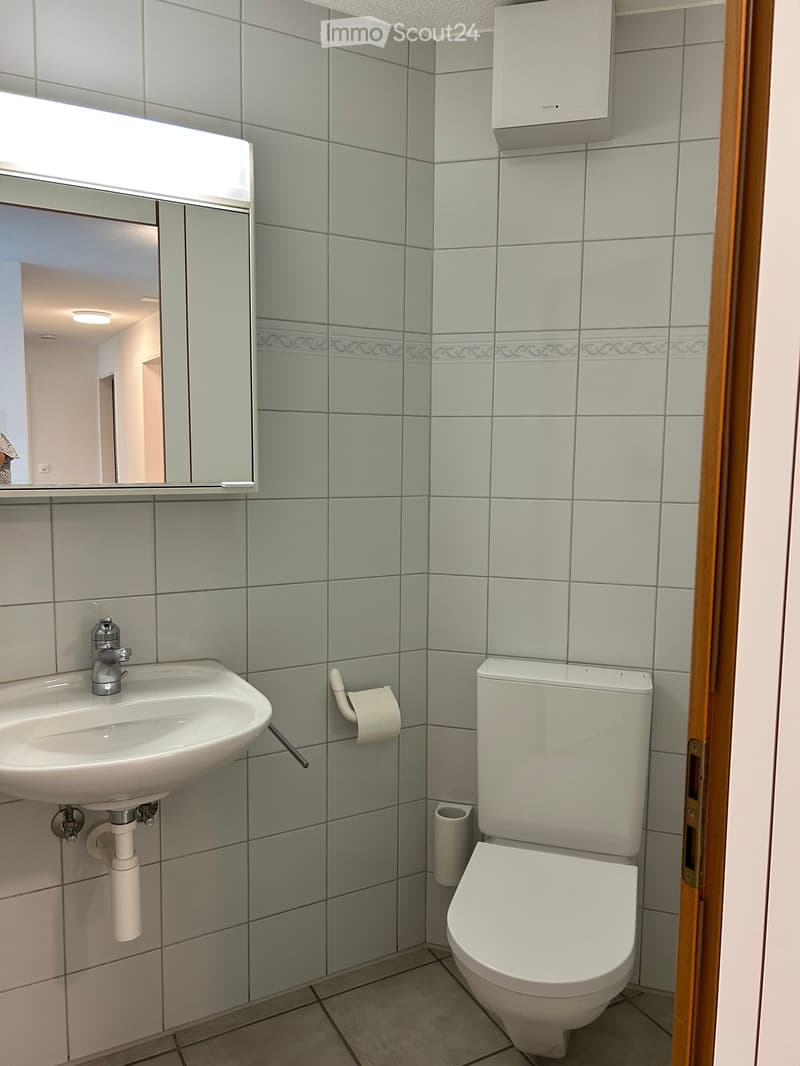 Modern bathroom with grey tiled walls, a white sink with a chrome faucet, a toilet, and a mirror above the sink. Toilet paper is mounted on the wall.