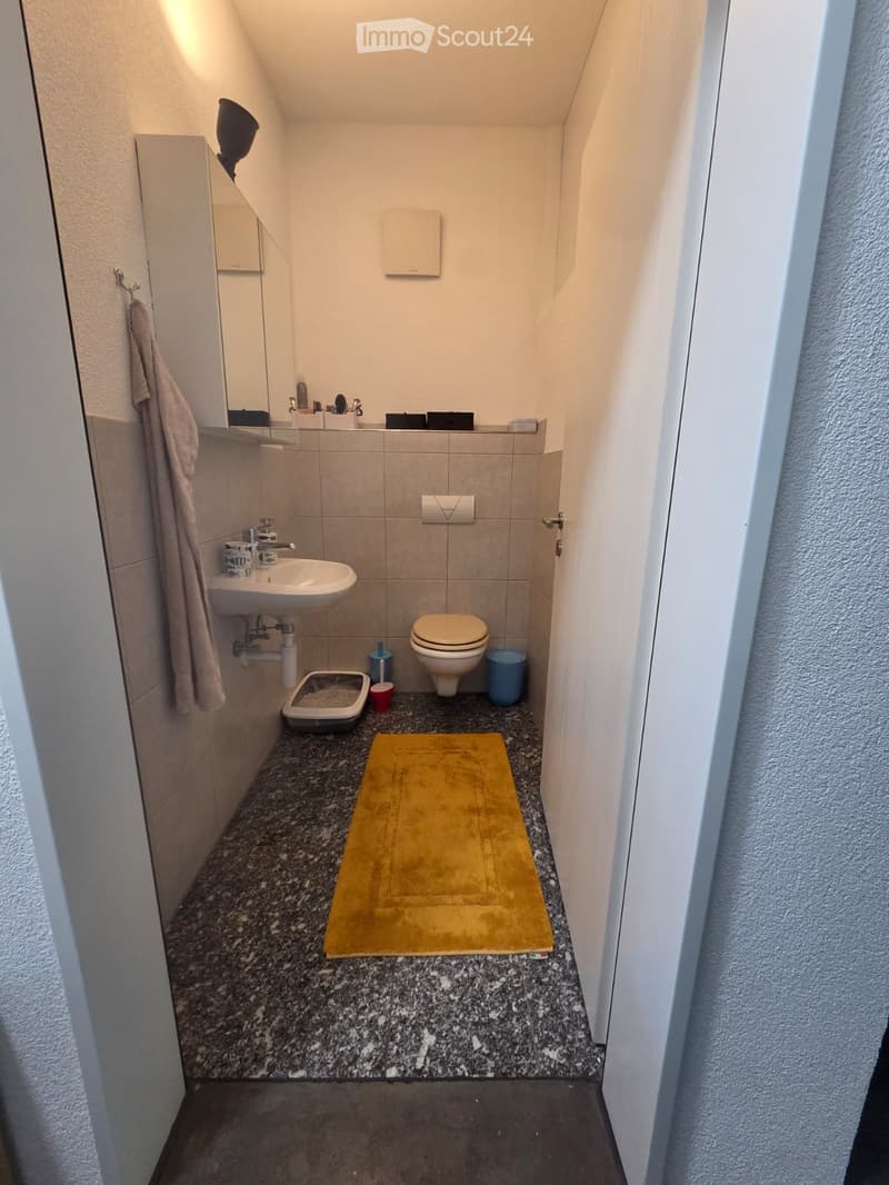 Compact bathroom with a sink, toilet, mirror, and a small cat litter box. Features a yellow bath mat on a dark speckled floor and a towel hanging on the wall.