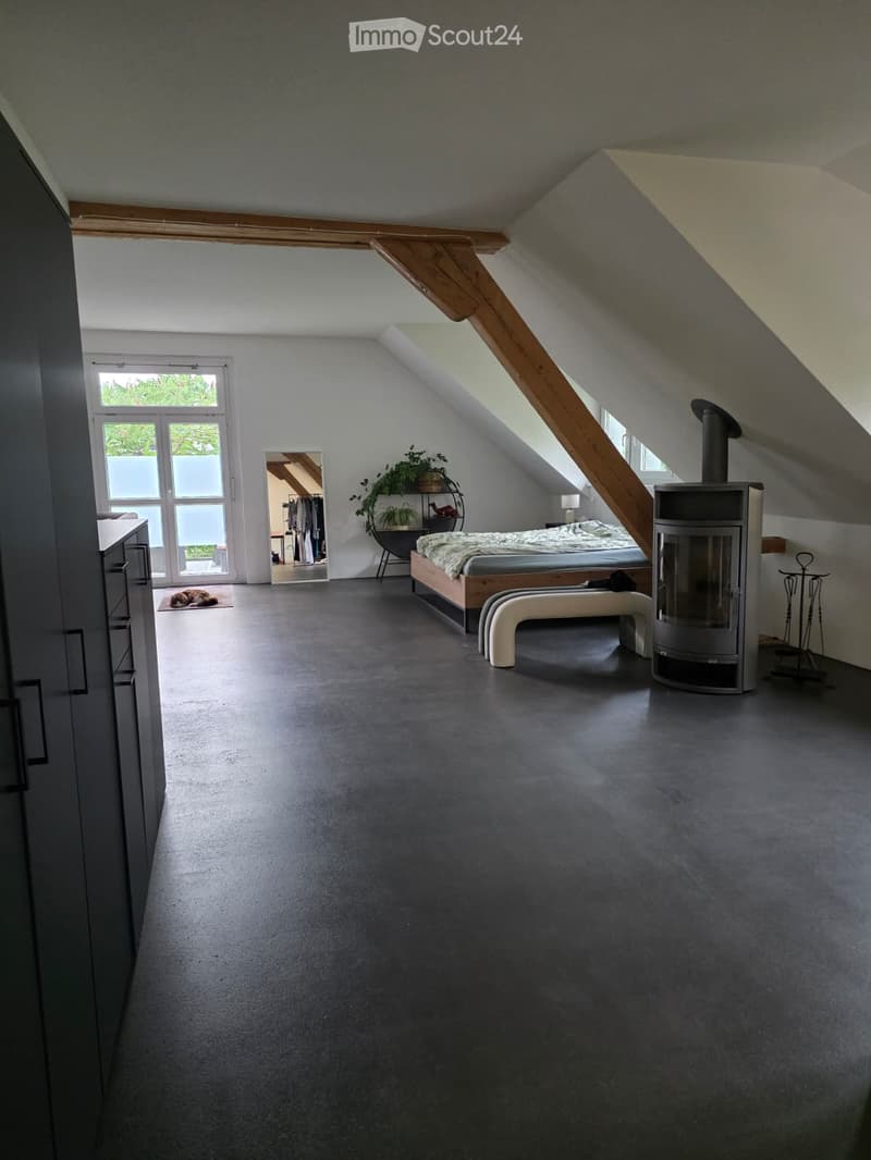 Modern attic bedroom with slanted ceilings, dark grey concrete floor, large windows, bed, fireplace, small stool, mirror, and plant. Dog is visible near the window.