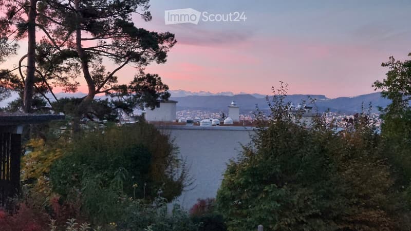 A serene garden or outdoor area with trees, shrubs, and a view of a cityscape and mountains at sunset.