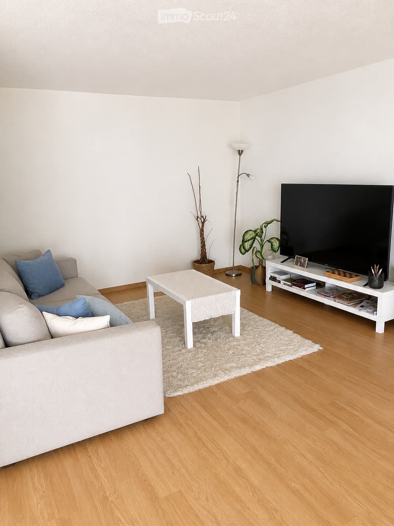 Modern living room with light wooden flooring, a grey sofa with blue pillows, a white coffee table, a TV stand with a flat-screen TV, and a floor lamp.