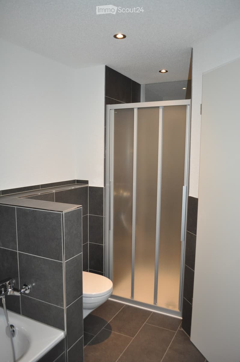 Small bathroom with shower enclosure, white bathtub, white toilet, grey tiles, and grey tiled wall paneling