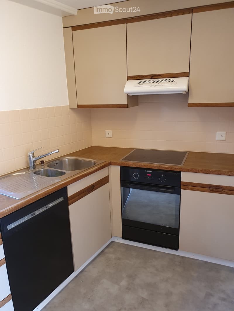 Compact kitchen with light wood cabinets, a sink with a chrome faucet, an induction cooktop, an oven, and a dishwasher.