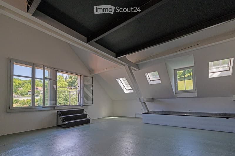Empty room with white walls, concrete floor, large windows, and skylights. No furniture or equipment present.