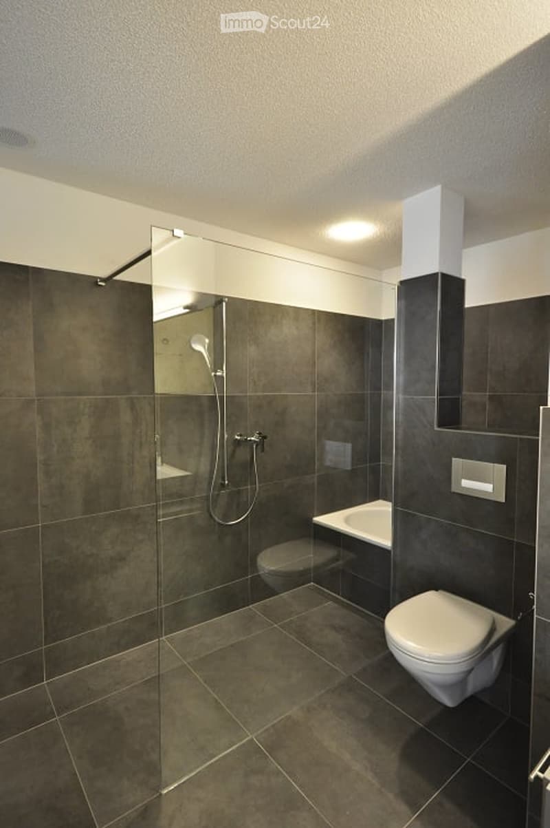 Modern bathroom with dark grey tiles, glass shower enclosure, toilet, bathtub, and a large mirror.