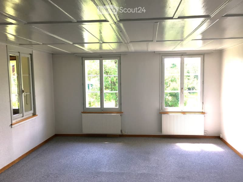 empty room, white walls, white ceiling, 3 windows, white radiators, gray carpet