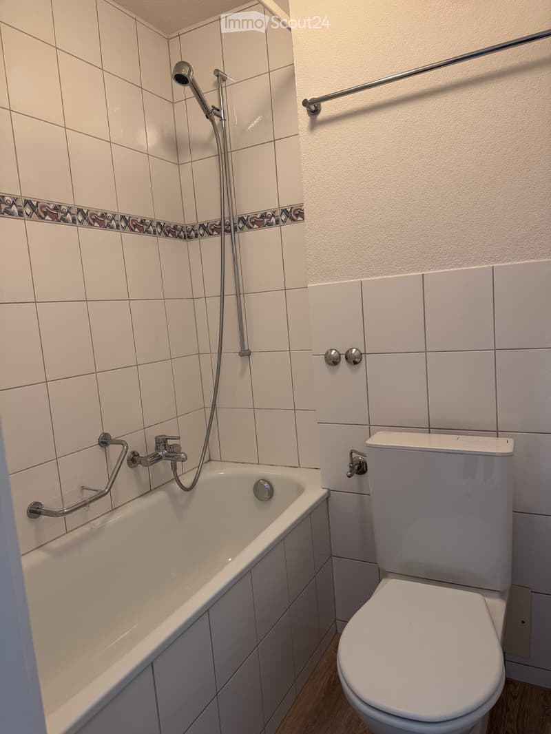 Bathroom with a bathtub, toilet, showerhead, and handrails for accessibility.