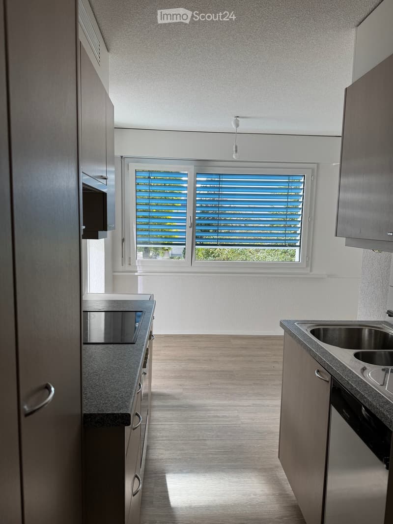 Modern kitchen with light wood cabinets, granite countertops, stainless steel sink, and dishwasher. Features large windows with blinds and a sleek design.