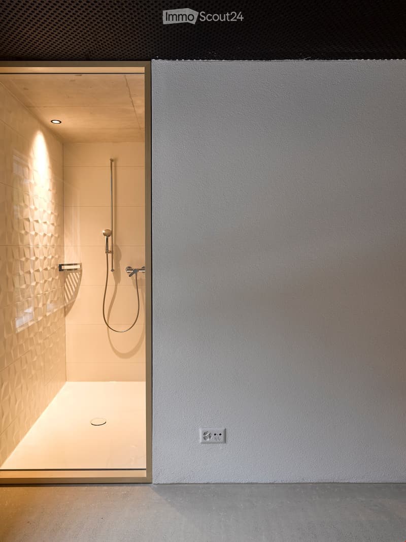 Modern shower area with glass enclosure, geometric tile pattern, and sleek fixtures.