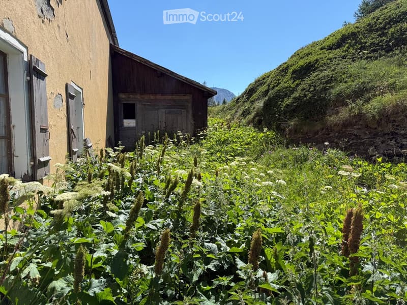 Overgrown garden with tall plants and flowers in front of a rustic building with wooden doors and shutters.