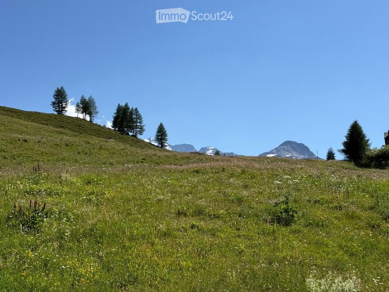 A lush green meadow with scattered wildflowers and trees, surrounded by rolling hills and distant snow-capped mountains under a clear blue sky.