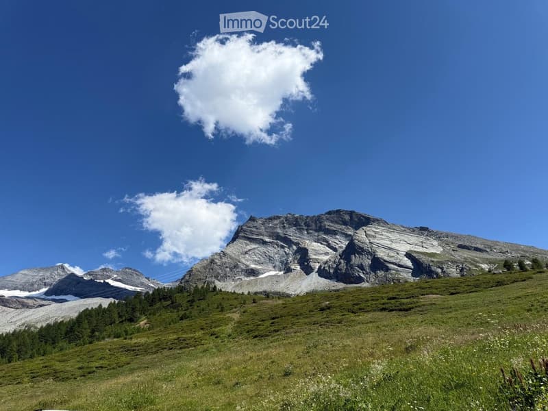 A scenic mountain landscape with a grassy field, scattered trees, and a prominent rocky peak under a clear blue sky with scattered clouds.