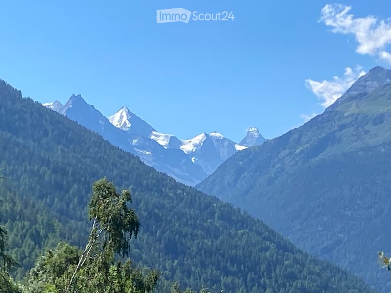 A panoramic view of a mountain range with snow-capped peaks and dense forest cover in the foreground.