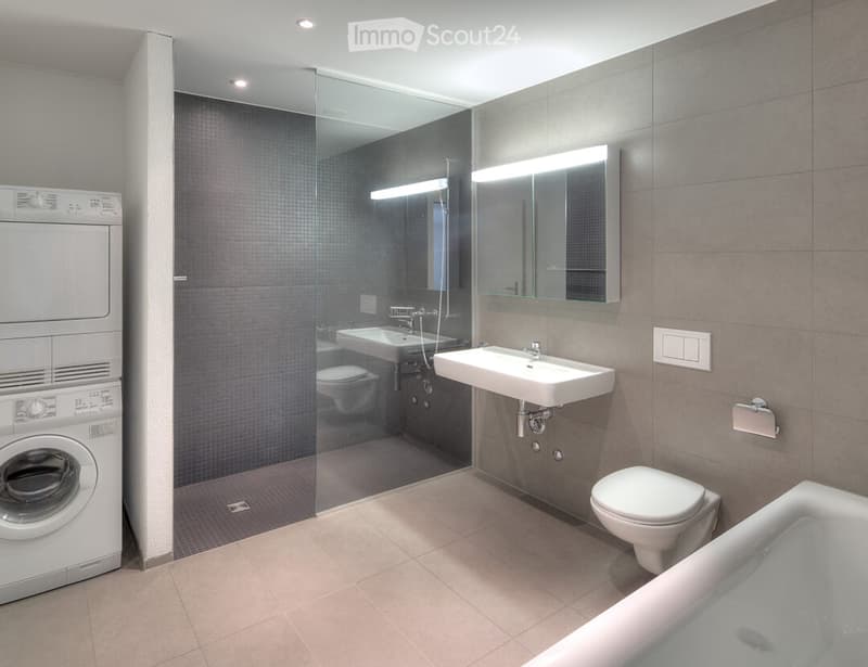 Modern bathroom with a glass-enclosed shower, a washing machine, a sink, a toilet, and a bathtub.