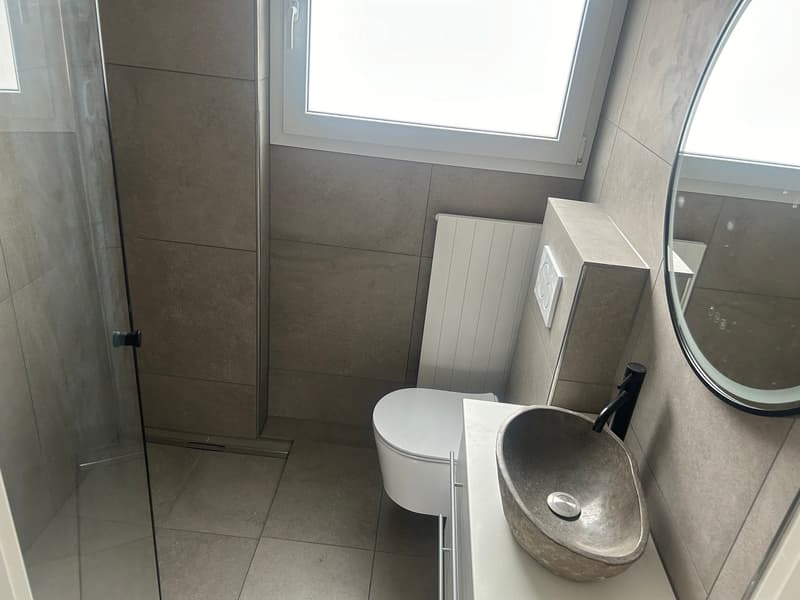 Bathroom: walk-in shower, white toilet, white sink, white tiles, mirror