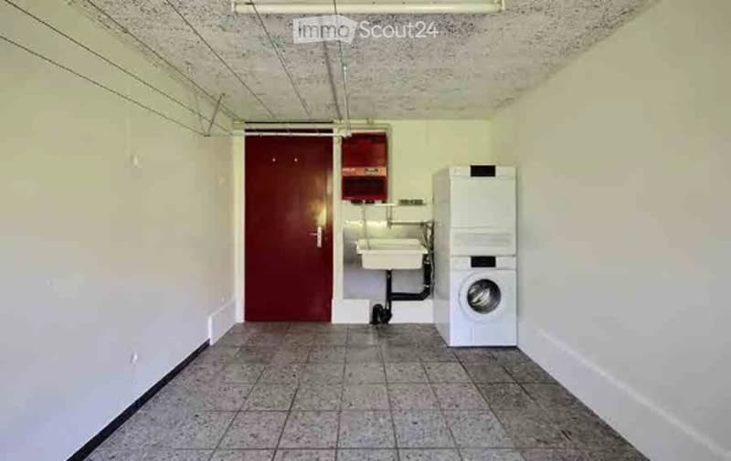 Small bathroom with a white sink, a washing machine, and a red door.