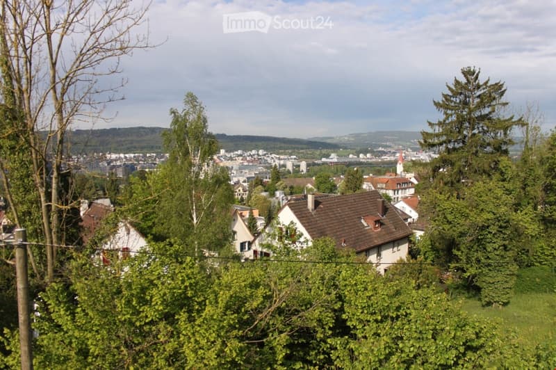 A panoramic view of a suburban neighborhood with multiple houses, trees, and a distant cityscape under a partly cloudy sky.