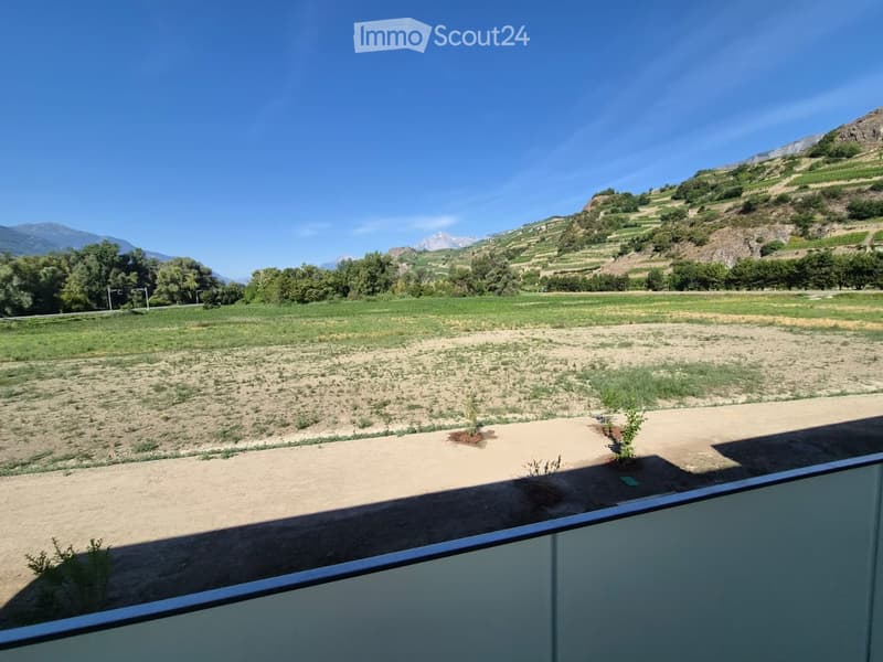 Balcony overlooking a grassy field and distant mountains, with a modern glass railing and a few small plants.