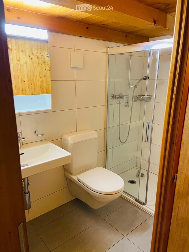 Modern bathroom with a white sink, toilet, and glass-enclosed shower. The room features light-colored tiles and wooden accents.