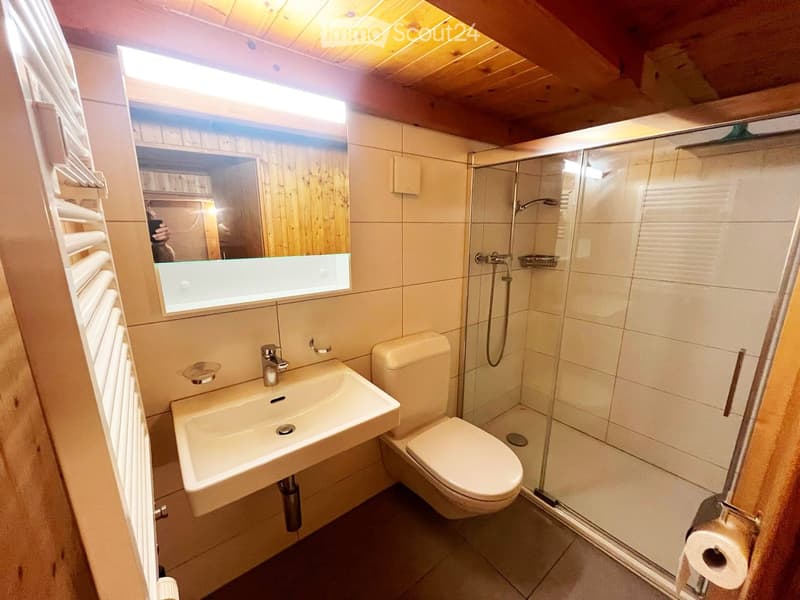 Modern bathroom with a sink, toilet, shower, and mirror. Features wooden ceiling and tiled walls.