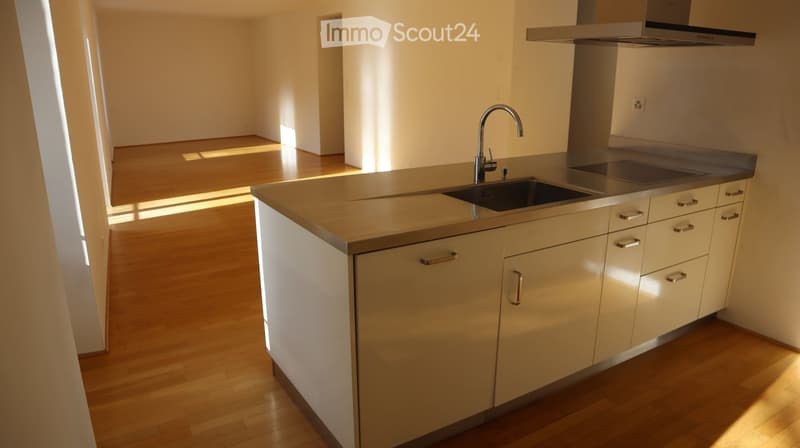 modern kitchen with wooden floor, stainless steel countertop, sink, faucet, cabinets, and a stove hood
