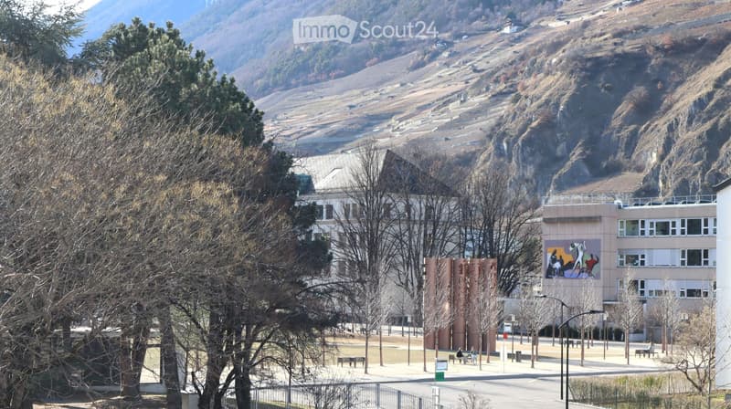 Trees, benches, large building, mountain in the background
