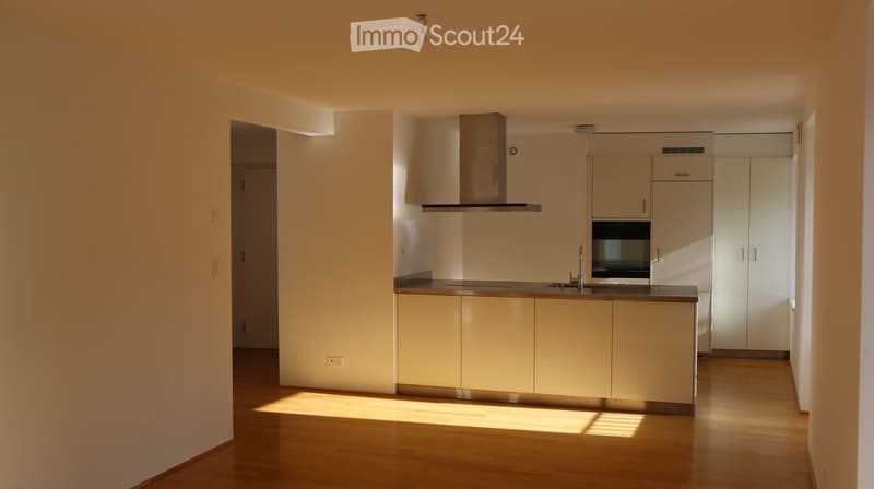 modern kitchen, white cabinets, wooden floor, stainless steel appliances, sink, oven
