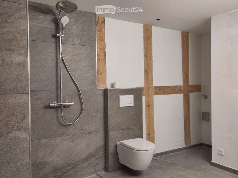 modern bathroom with gray tiles, white toilet, shower head, wooden accents on the wall
