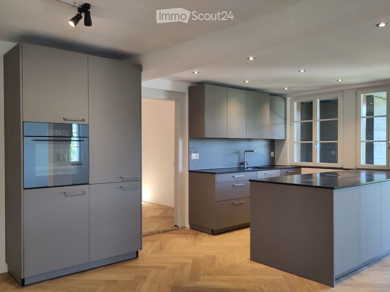 Modern kitchen with grey cabinetry, a central island, built-in oven, and stainless steel sink.
