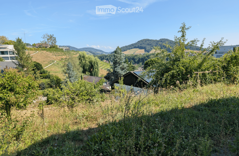 A lush garden area with various trees and shrubs, overlooking a scenic valley with hills and scattered houses under a clear blue sky.