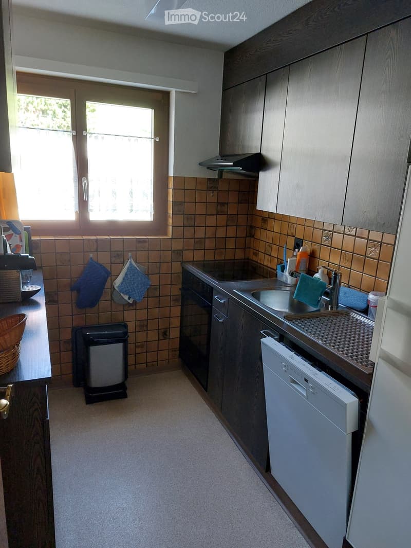 Modern kitchen with wooden cabinets, tiled backsplash, stainless steel sink, dishwasher, and oven. Includes oven mitts, trash can, and various small items on the counter.