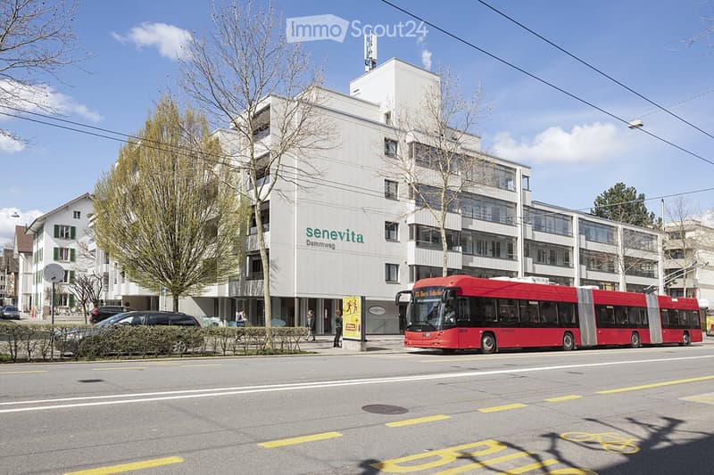 Modern multi-story building with large windows and signage reading "senevita Dammweg" on the facade, located on a street with a red bus passing by and several parked cars.