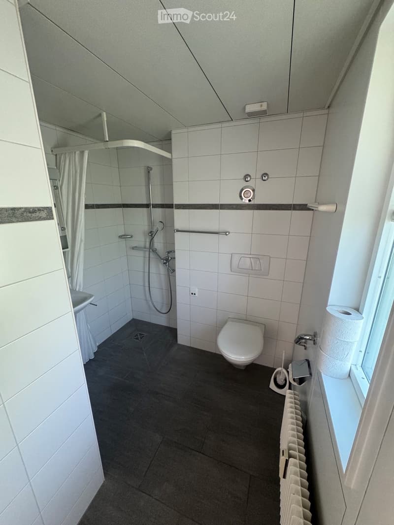 Modern bathroom with white tiles, a toilet, a shower with a glass curtain, a radiator, and a window with a view.