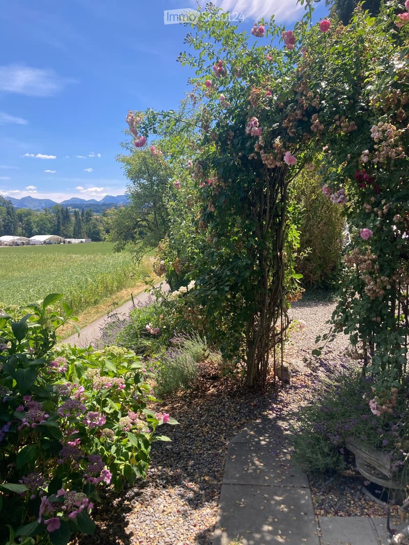 A garden pathway lined with gravel and surrounded by blooming flowers and shrubs, with a grassy field and distant mountains in the background.
