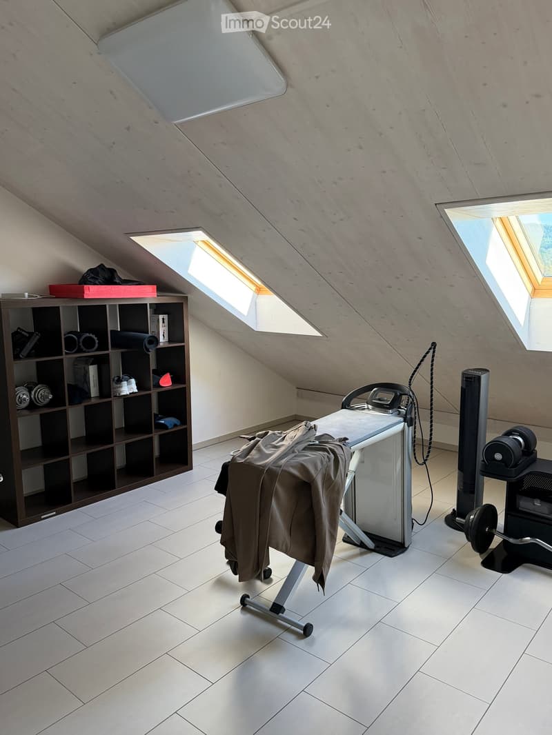 Modern attic room with skylights, tiled floor, and wooden walls. Contains a shelf with various items, a clothing rack, a small refrigerator, a fan, and weights.