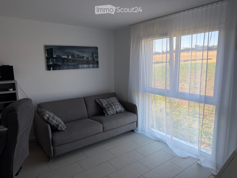 Living room with a grey sofa, two plaid cushions, a TV stand with a screen, and a large window with sheer curtains overlooking a rural landscape.