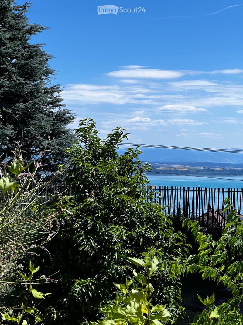 Appartamento nuovo di 2.5 locali con terrazza e prato privato, bella vista sul lago e le montagne (9)