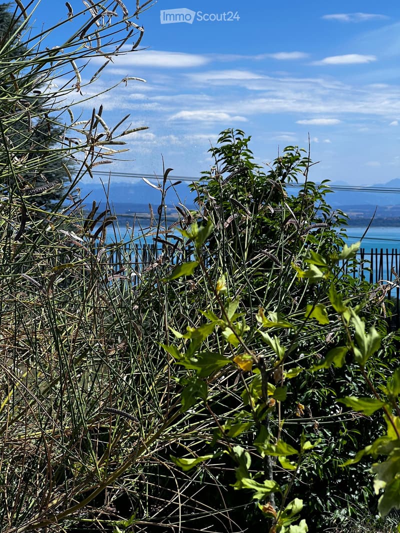 Appartamento nuovo di 2.5 locali con terrazza e prato privato, bella vista sul lago e le montagne (10)