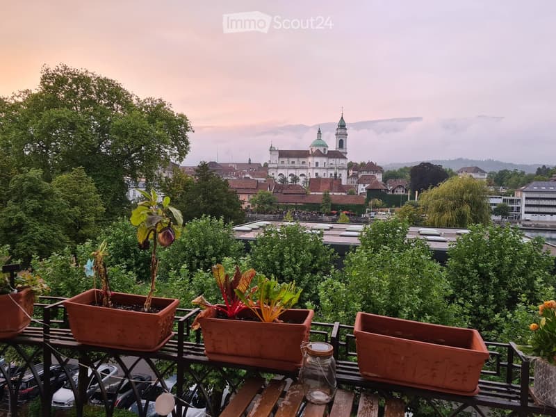 Balcony with potted plants and a scenic city view in the background.
