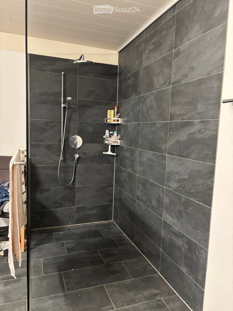 Modern shower area with dark grey tiles, a handheld showerhead, and built-in shelves for toiletries.