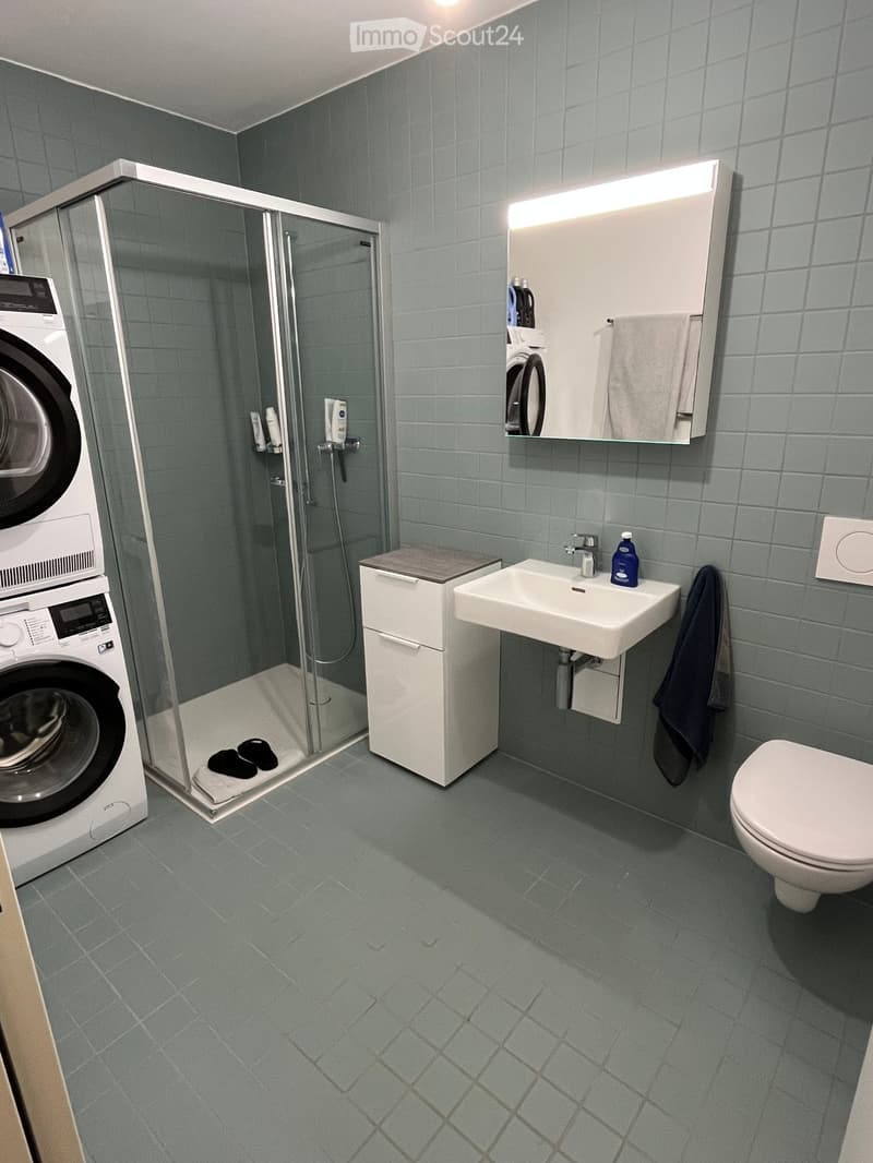 Modern bathroom with grey tiles, a glass-enclosed shower, a white sink, a toilet, a washing machine, and a mirror with built-in storage.